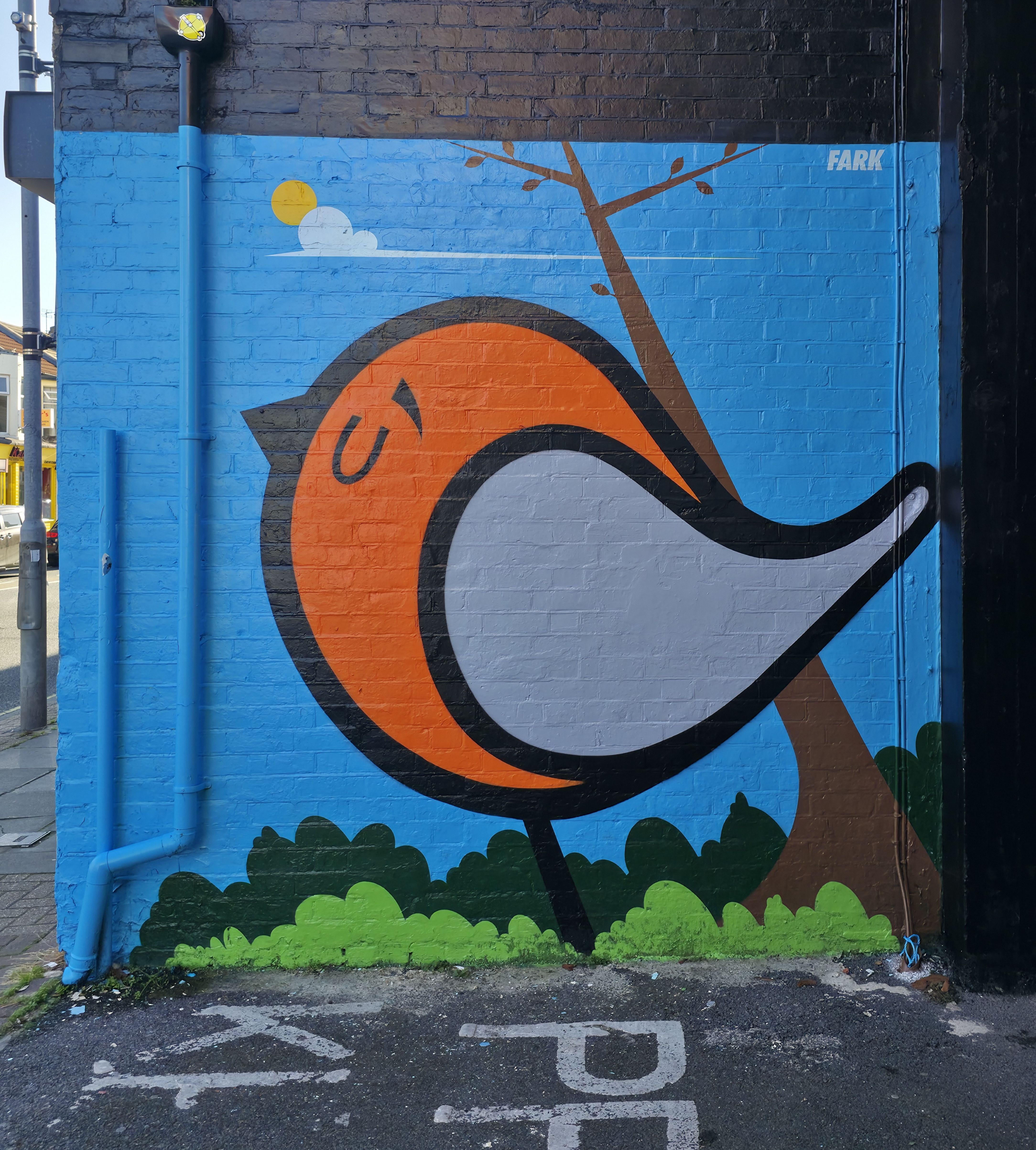 Photo of cute Bird on a blue background with a red chest, found in Albert Road, Southsea, Hampshire, United Kingdom. Photo taken by Baldi, A.K.A Amonn AL-Mahrouq.