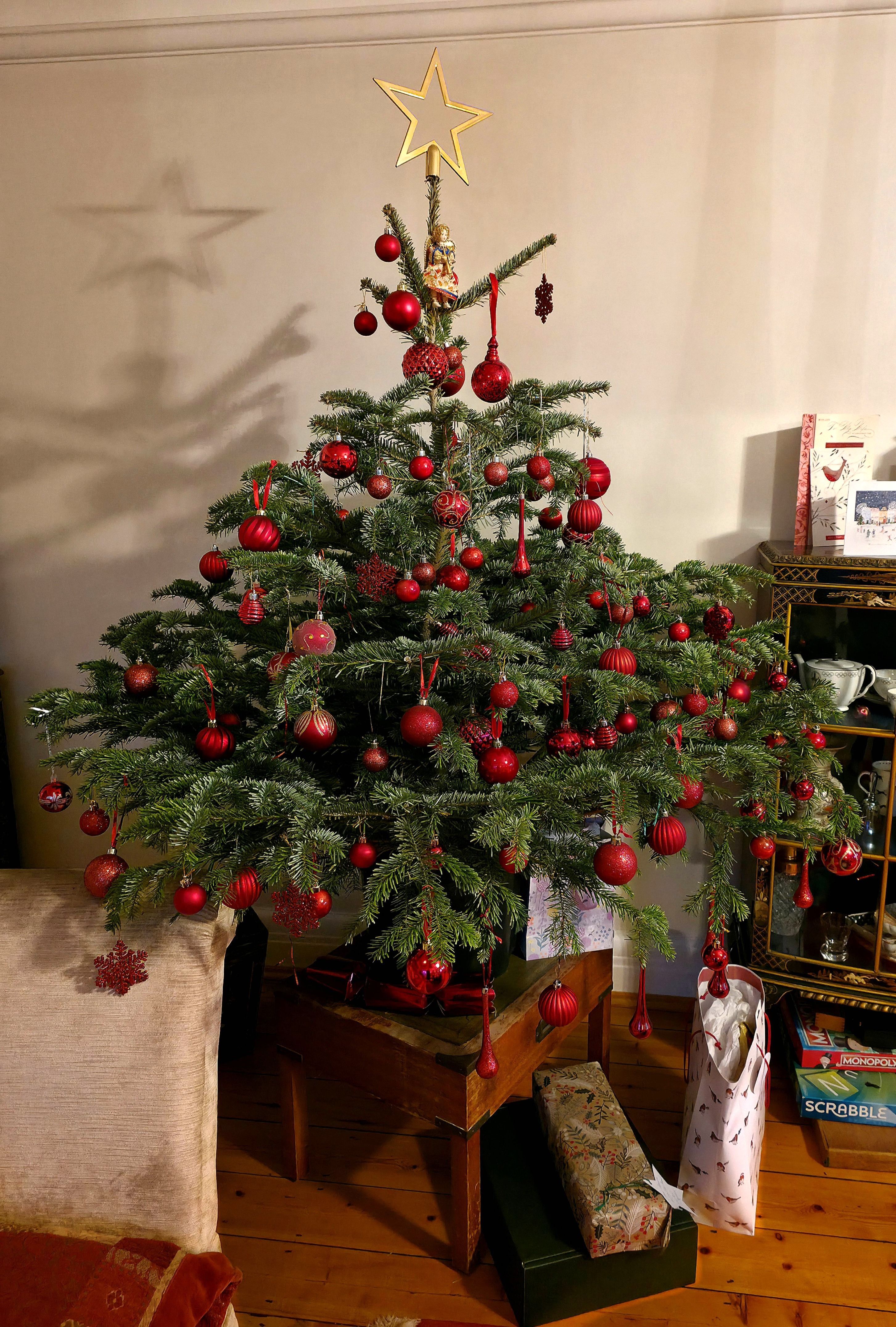 Photo of our family Xmas Tree. Photo taken in December 2025 by Baldi, A.K.A Amonn AL-Mahrouq.