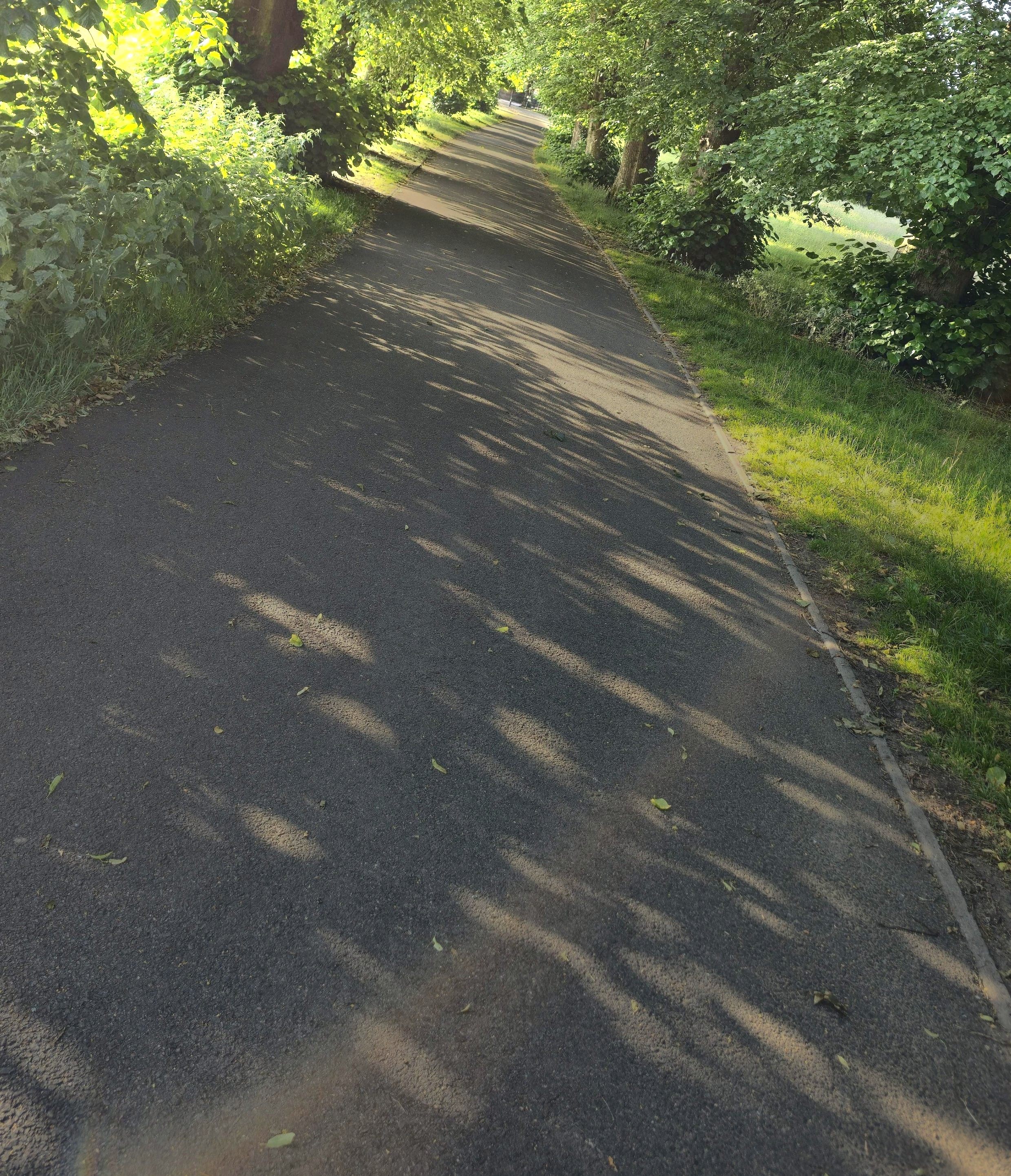 A path that isn't straight asking, what are your goals for the end of February 2026? Photo taken in February 2026 by Baldi, A.K.A Amonn AL-Mahrouq