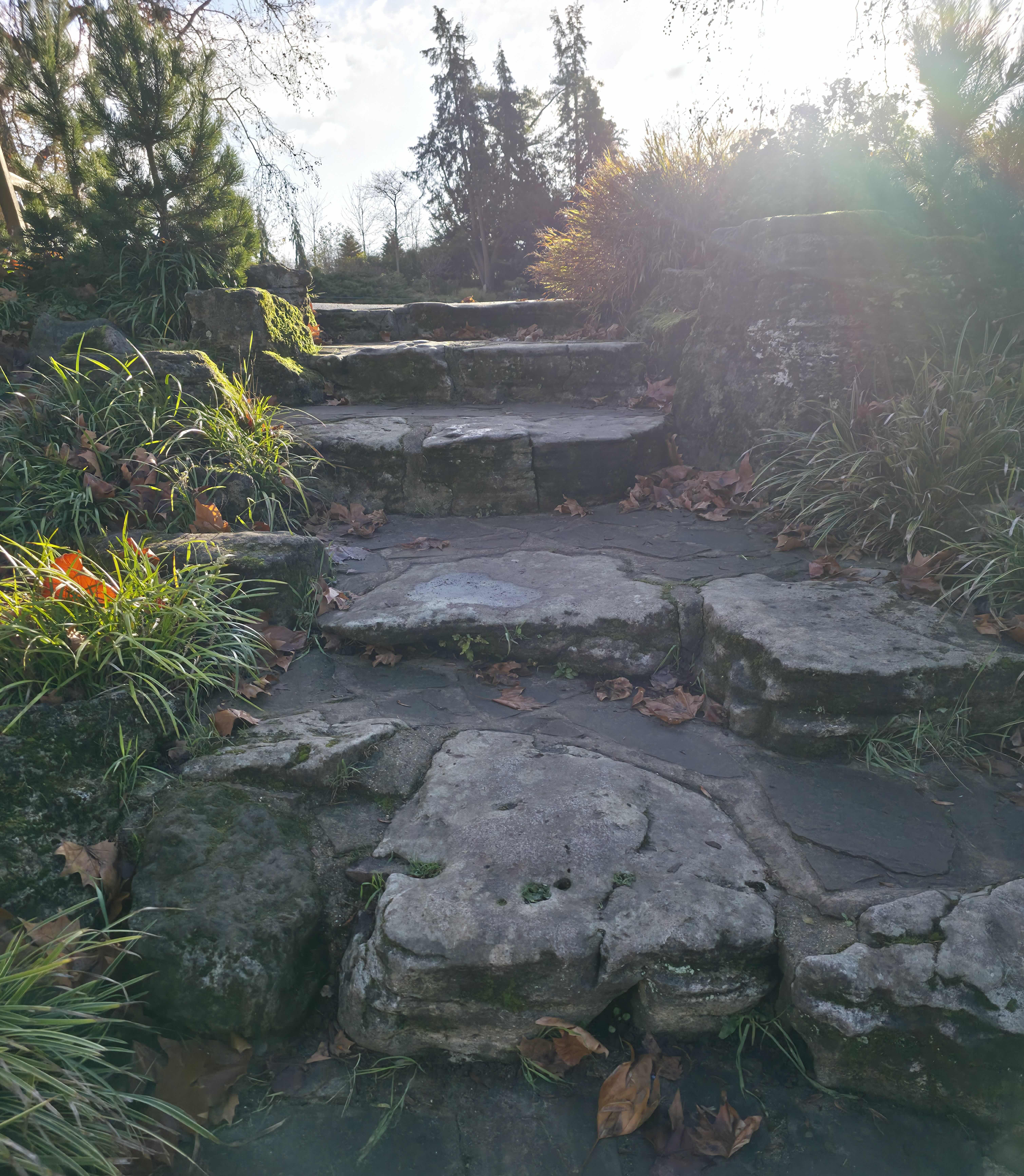 A staircase showing where you are today, leading to where you will be at the end of 202. Photo taken by Baldi, A.K.A Amonn AL-Mahrouq