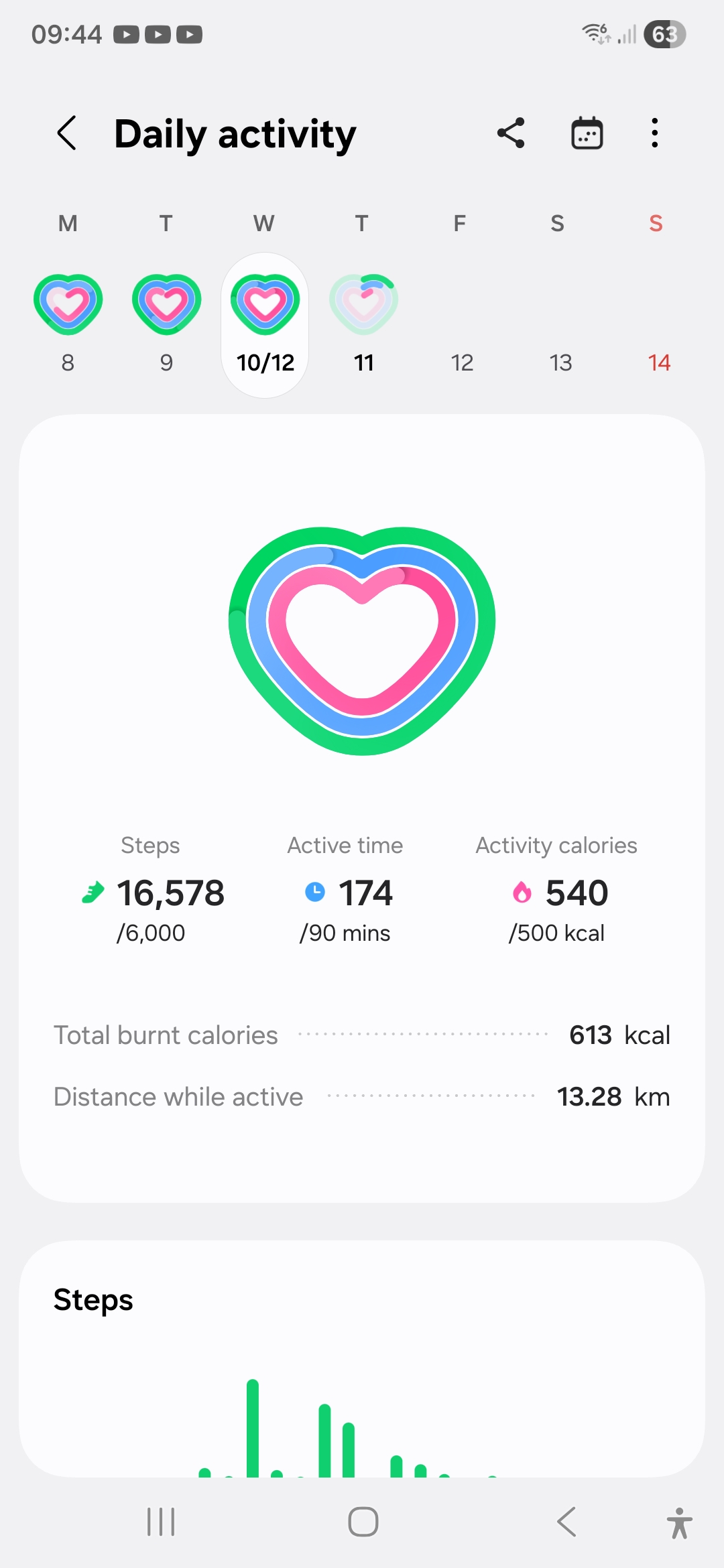 Photo of Baldi's inspirational steps walked in December 2025. Photo taken by Baldi, A.K.A Amonn AL-Mahrouq in December 2025.