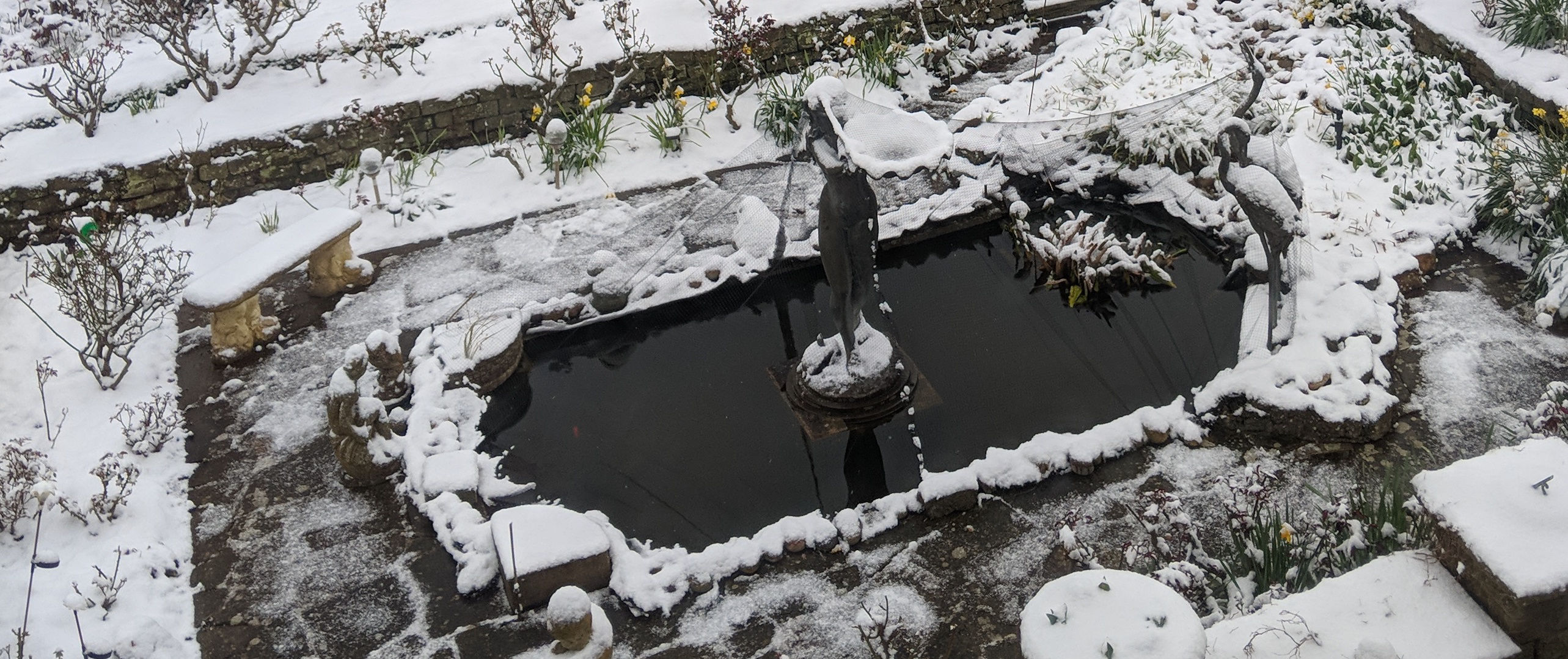 A photo taken by Baldi, A.K.A Amonn AL-Mahrouq of his snow covered pond in January 2026.