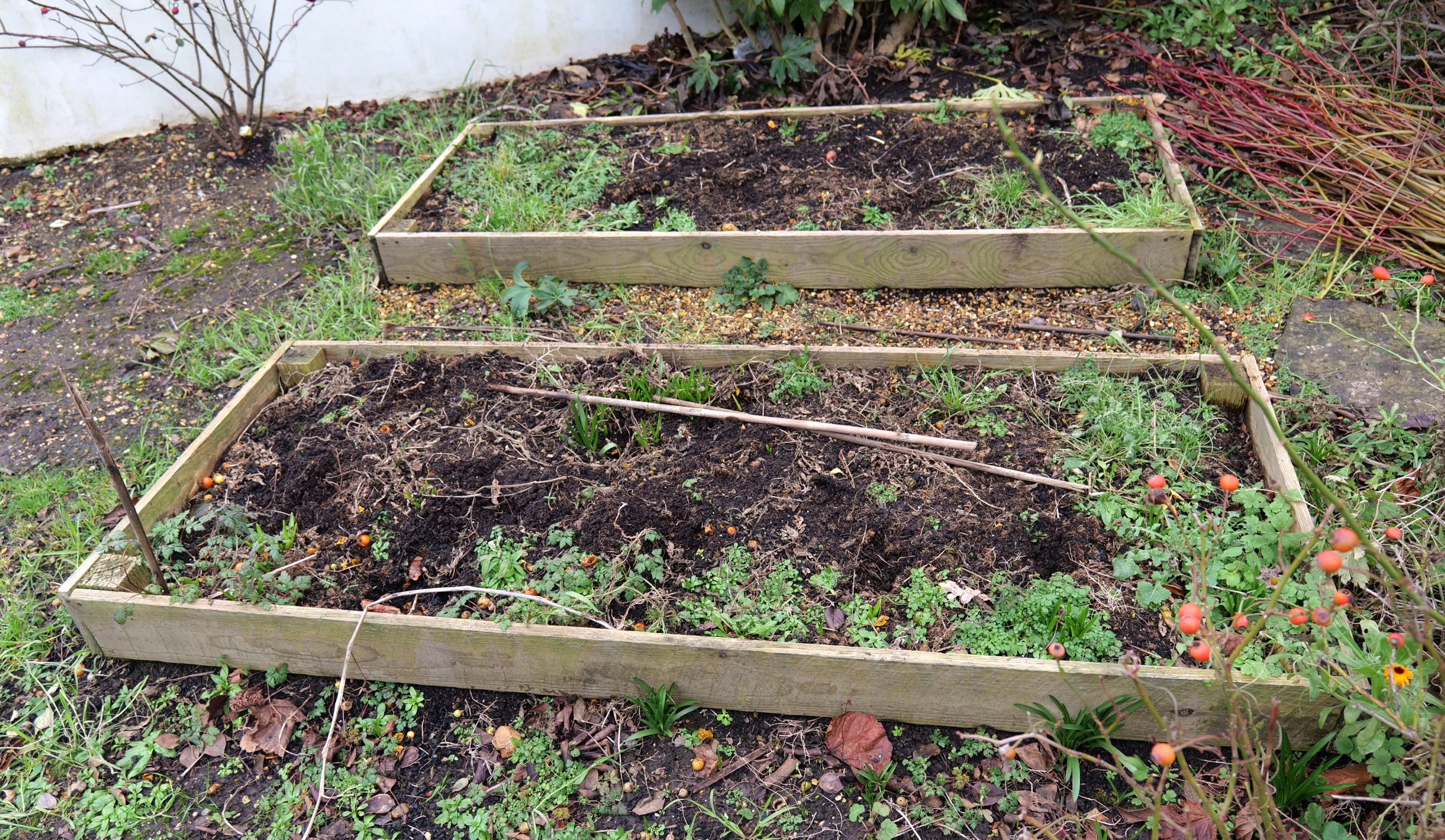 Photo of beds for home grown produce. Photo taken by Baldi, A.K.A Amonn AL-Mahrouq.