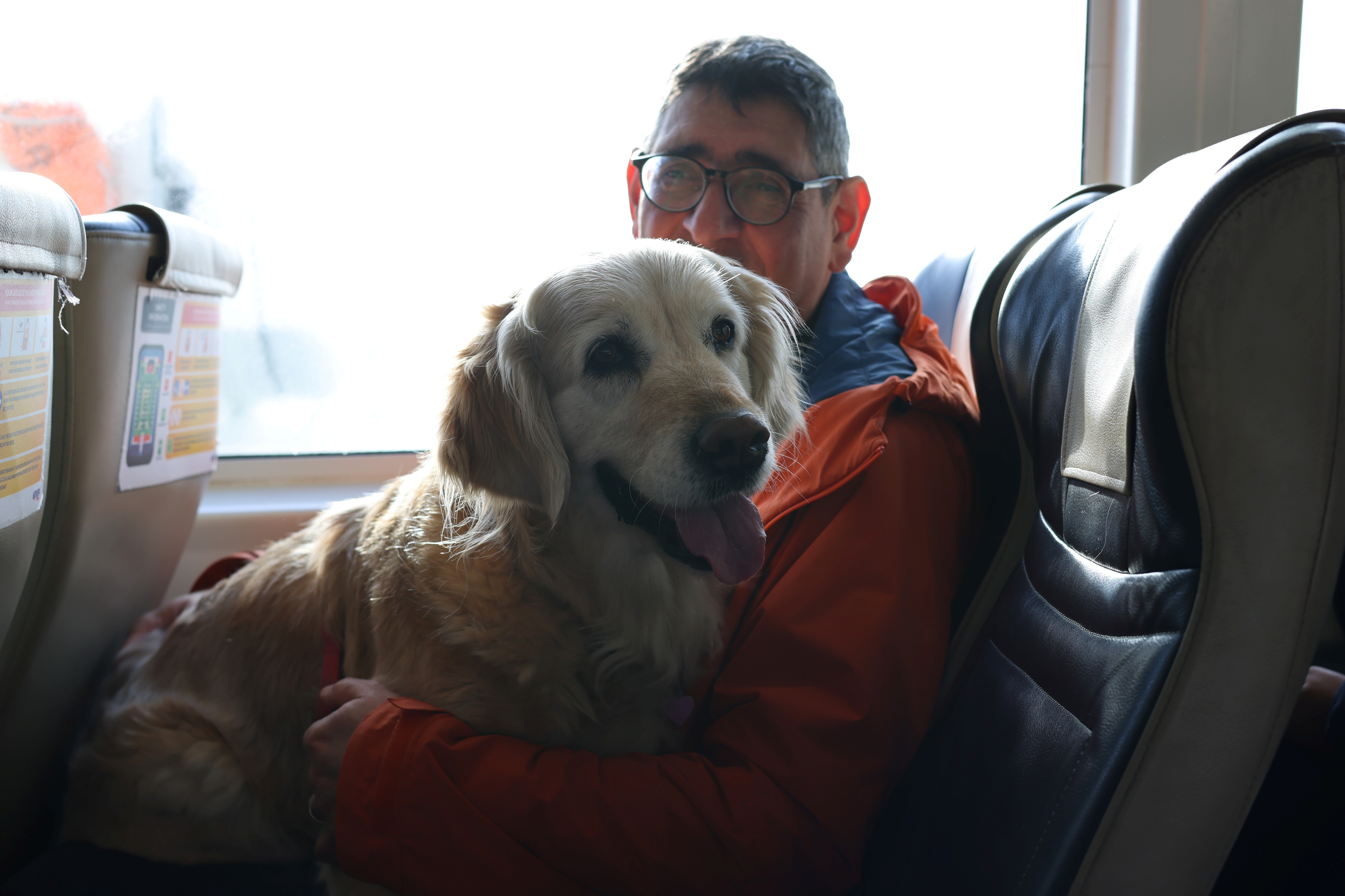 A photo Poppy settling on her Human Dads lap for her Hovercraft flight across The Solent to The Isle of Wight, United Kingdom in April 2026. Photo taken in February 2026 by Baldi, A.K.A Amonn AL-Mahrouq.