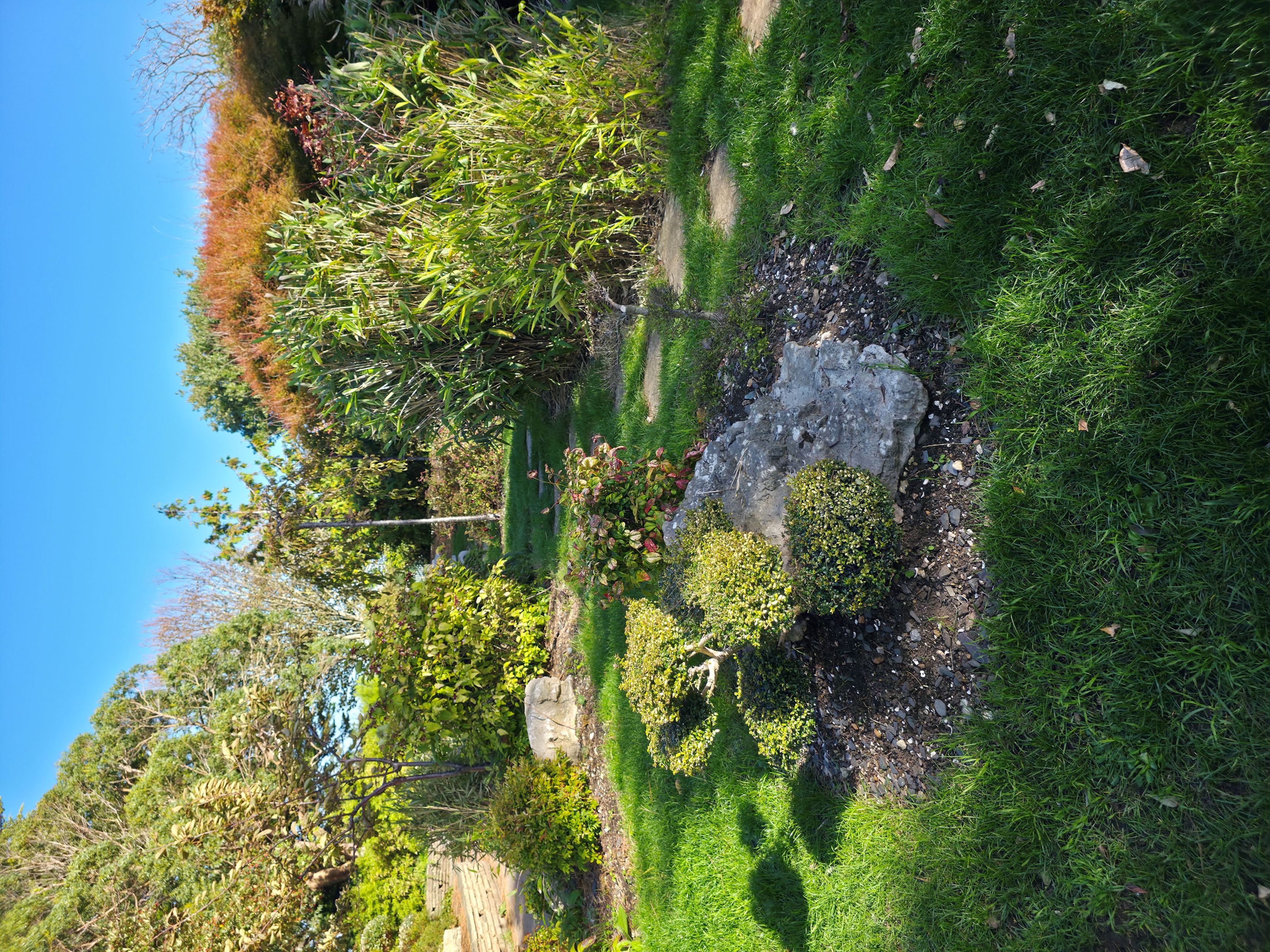 Photo of a Portsmouth Japanese Gardens looking directly though the main area. Photo taken in October 2025 by Baldi, A.K.A Amonn AL-Mahrouq.
