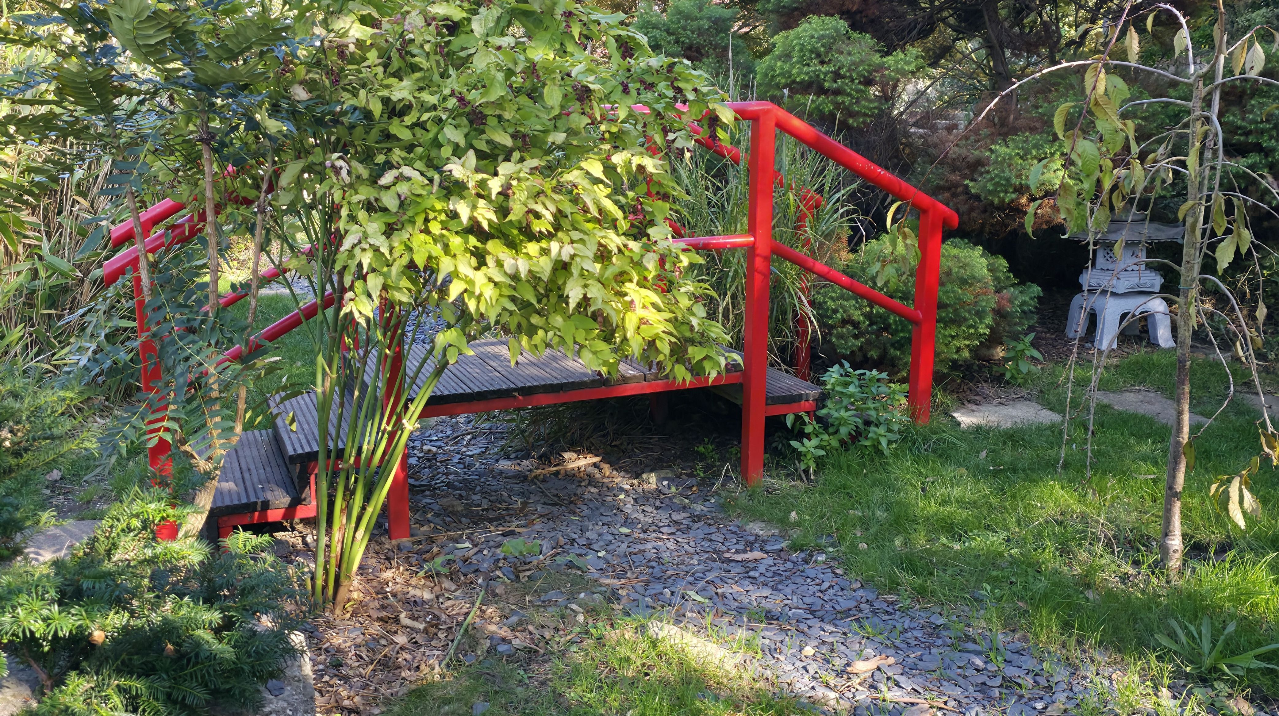 Photo of a Red Bridge in Portsmouth Japanese Gardens. Photo taken in October 2025 by Baldi, A.K.A Amonn AL-Mahrouq