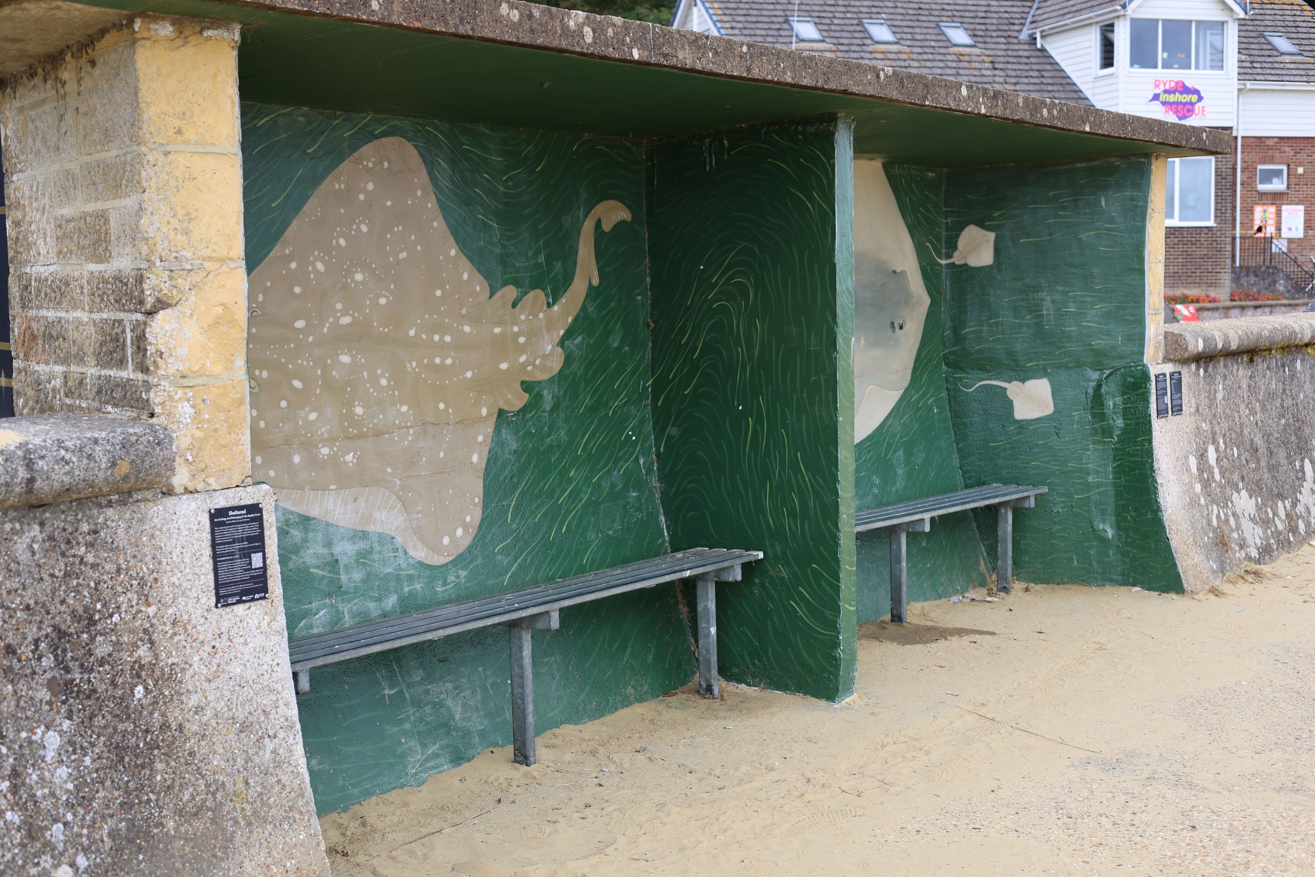 Photo of Street Art found on a coastal path in Ryde, Isle of Wight depicting a flat sea fish type creature. Photo taken in September 2026 by Baldi, A.K.A Amonn AL-Mahrouq.