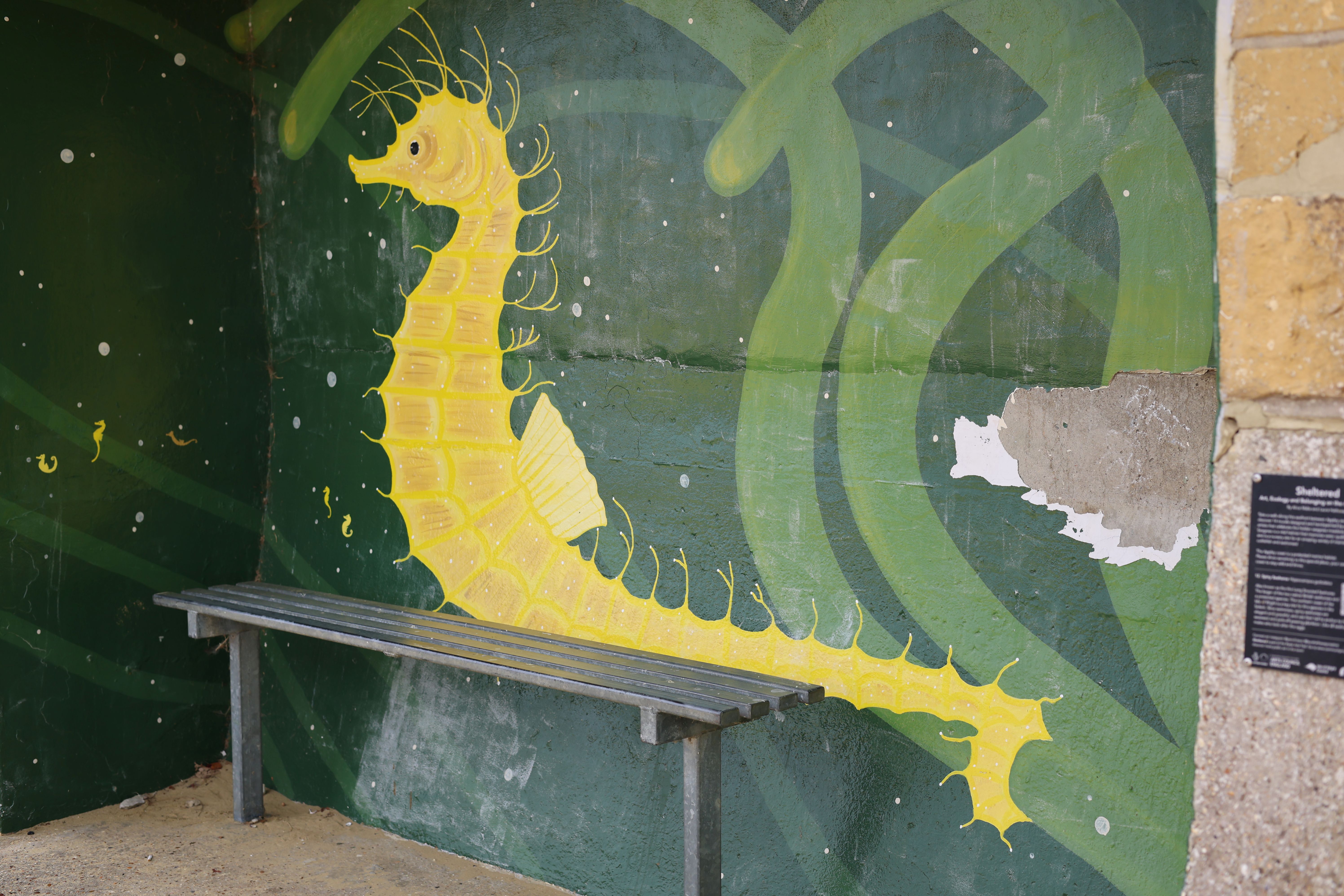 Photo of Street Art found on a coastal path in Ryde, Isle of Wight depicting a Sea Horse. Photo taken in September 2026 by Baldi, A.K.A Amonn AL-Mahrouq.