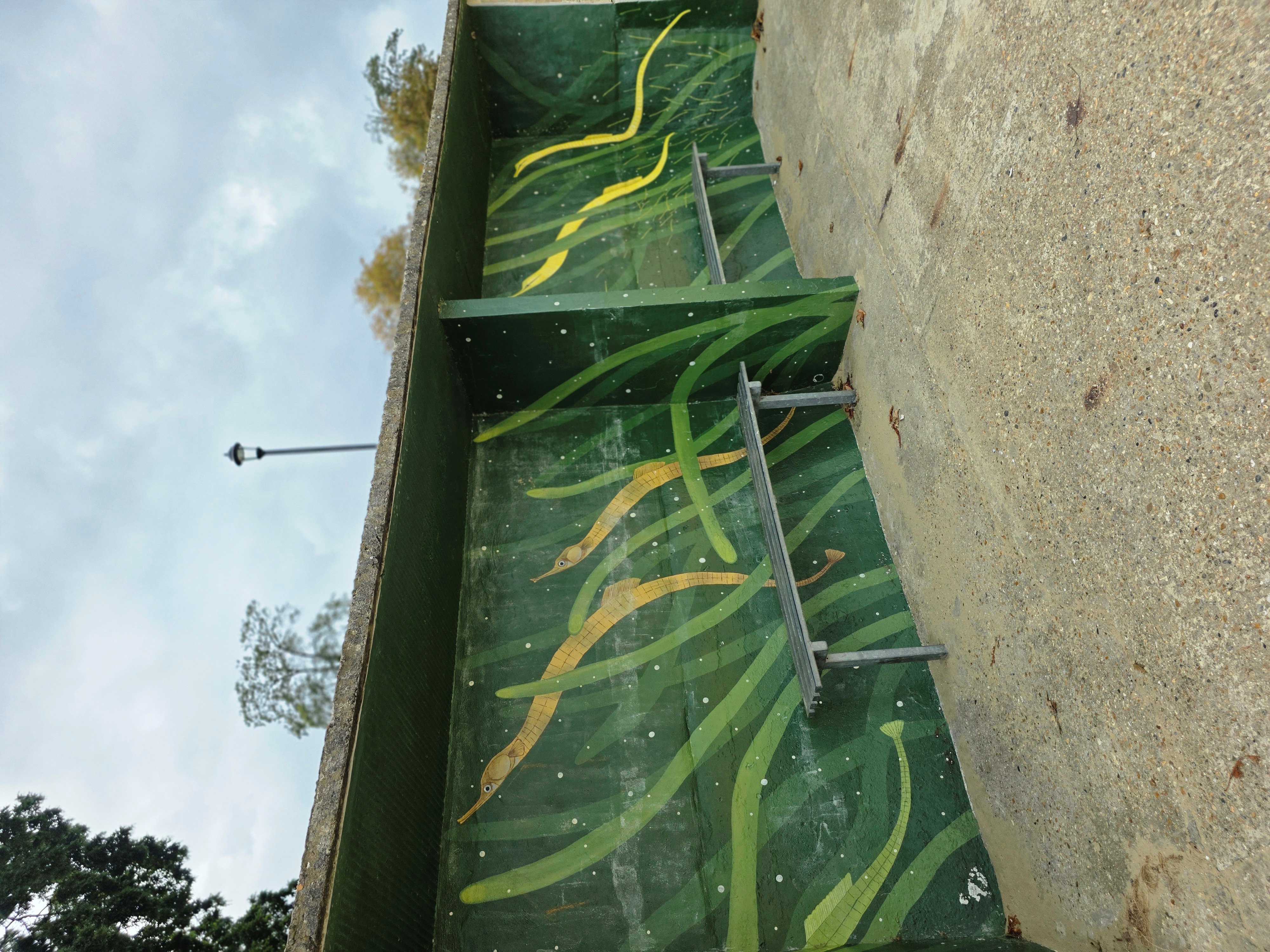 Photo of Street Art found on a coastal path in Ryde, Isle of Wight depicting Sea Snakes swimming amongst the Sea Grass. Photo taken in September 2026 by Baldi, A.K.A Amonn AL-Mahrouq.